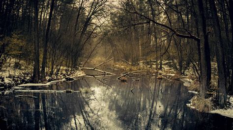 Forest River Wallpapers 4k Hd Forest River Backgrounds On Wallpaperbat