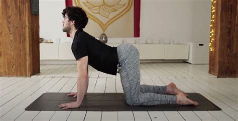 How To Do Cat Cow Stretches Chakravakasana 3 Ways