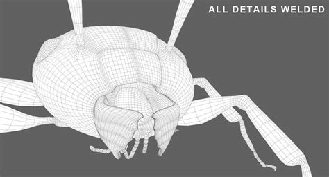 3d model ant 3d vr ar low poly rigged animated cgtrader