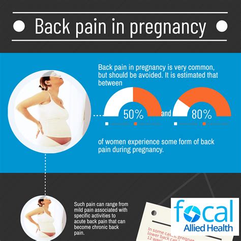 Back Pain In Pregnancy Infographic Focal Allied Health