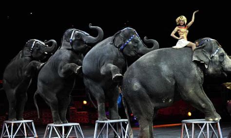 The Big Stop Ringling Bros Circus Closes After 146 Years Circus