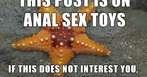 Anal Sex Toys Meme On Imgur