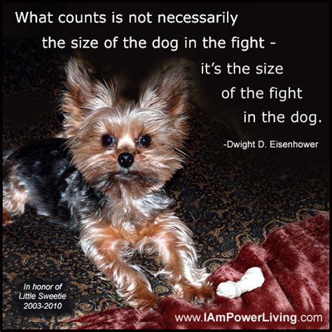 Until at least 1992, it was a component in every major war. Dog Fighting Quotes. QuotesGram