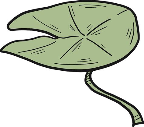 Lily Pad Clipart Png Download Full Size Clipart 5250508 Pinclipart