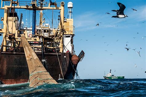 Pesca Ilegal En El Mar Argentino Entre La Destrucción Del Ecosistema Y