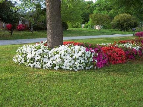 Adorable Flower Beds Ideas Around Trees To Beautify Your Yard 23