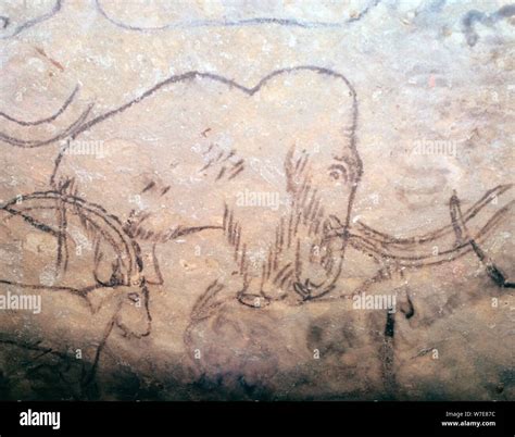 Mammoth Cave Painting High Resolution Stock Photography And Images Alamy