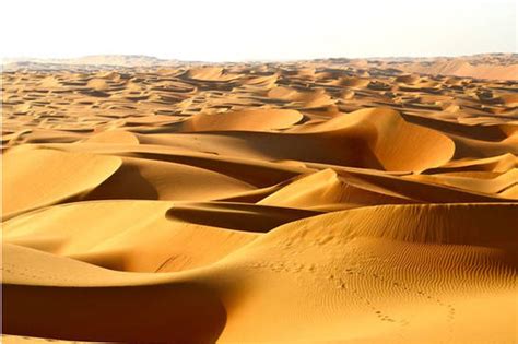 Top 10 Largest Deserts In The World With Map And Photos