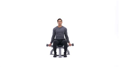 Seated Dumbbell Biceps Curl Exercise Videos And Guides