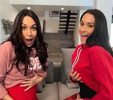 Surprise Twins Brie And Nikki Bella Give Birth Just 1 Day Apart Pictures