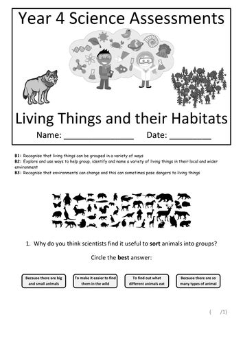 Year 4 Science Assessment Living Things And Their Habitats Teaching