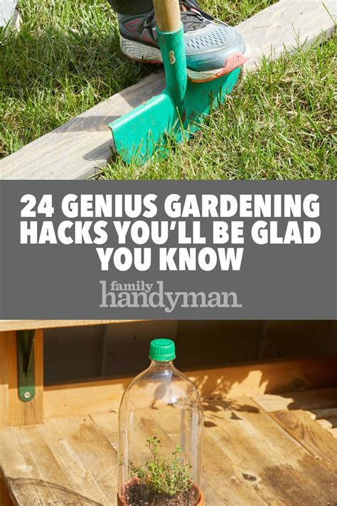 24 genius gardening hacks you ll be glad you know garden yard ideas gardening tips diy