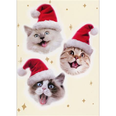 Avanti Press Three Smiling Cat Faces Meowy Christmas Cute Funny Christmas Card 1 Card 1