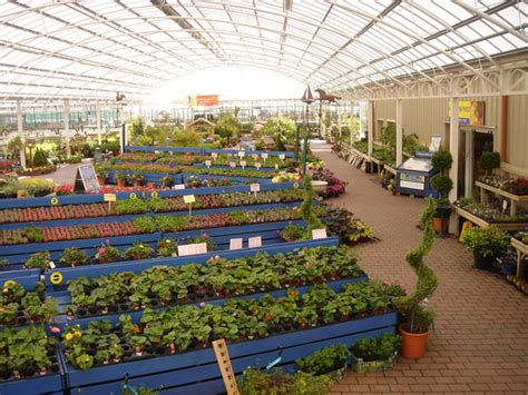 Industry:florists, fountains, gift shops, greenhouses, landscaper,. Hillside Nursery Coffee Shop, Belfast - Restaurant Reviews ...