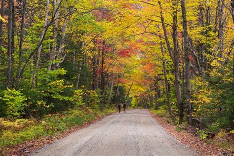 2017 Foliage Report Fall Color Peaking North Emerging South New