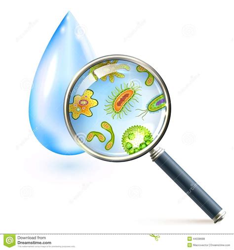 Typically found in warm and salty coastal waters or river. Magnifier Bacteria And Virus Cells Stock Vector - Image ...