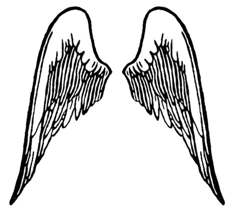 Angel Wing Outline Clipart Best