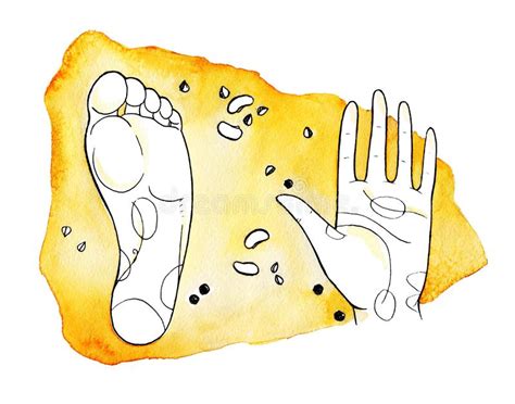 Foot Massage Bunion Hallux Valgus Or Bunion Formation Of The Foot