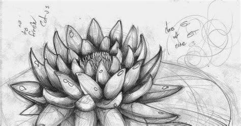 11 Sketsa Bunga Teratai Gambar Bunga