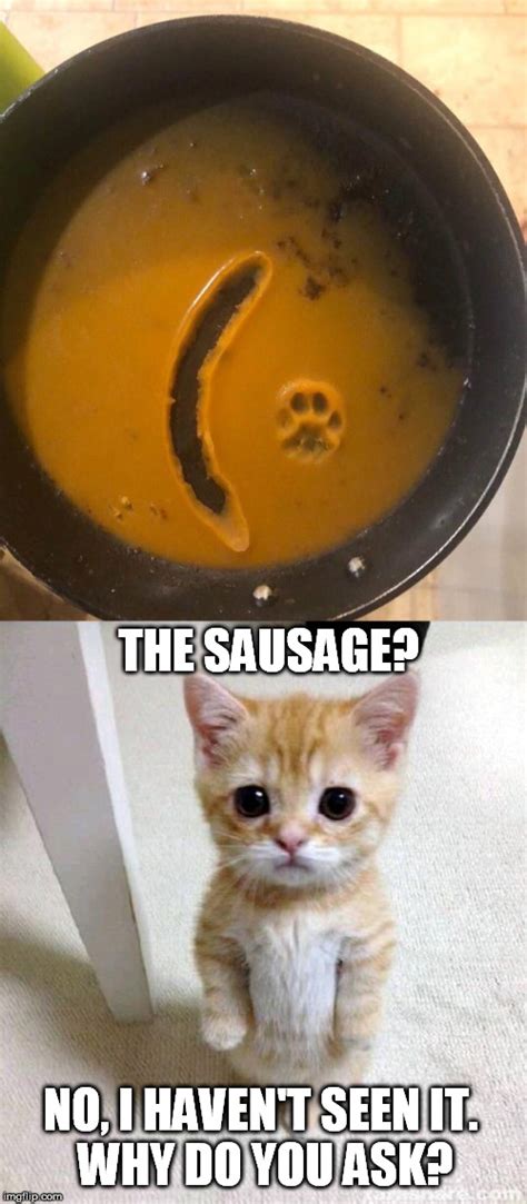 Image Tagged In Memescute Catsausage Imgflip