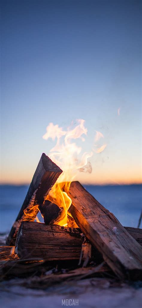 1920x1080px 1080p Free Download Campfire Bonfire Fire Heat Wood