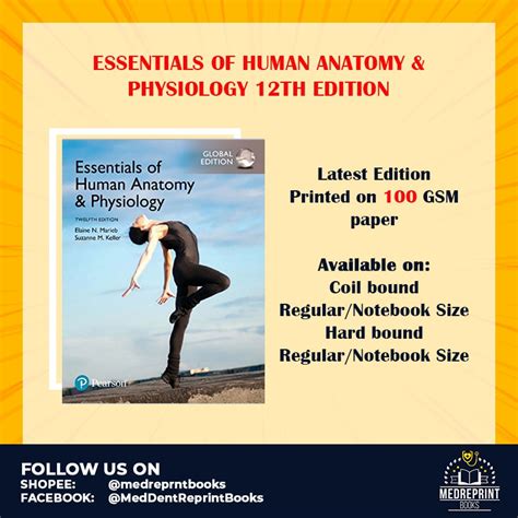 Essentials Of Human Anatomy And Physiology Marieb 12th Edition Lazada Ph
