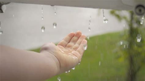 Closeup Of Children Catching Raindrops In The Palm Of Their Hands