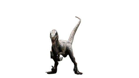 Jurassic World Echo Raptor By Speedcam On Deviantart