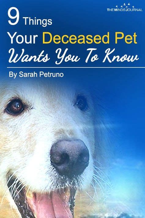 6 Things Your Deceased Pet Wants You To Know Fritz Wilt