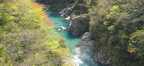 Iya Valley Shikoku Inside Japan Tours
