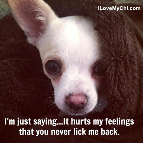 Hahaha I Dont Think My Dogs Feelings Get Hurt Ever He Loves To Give