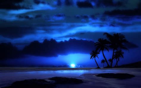 Evening Night Sky Clouds Sea Tropical Palm Tree