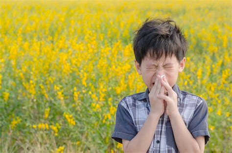 What To Do If Your Child Suffers From Seasonal Allergies