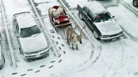 Funny Snow Christmas Humor Sledge Cars Winter Reindeer Hd