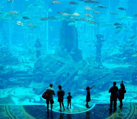 Massive Aquarium At Atlantis The Palm Hotel In Dubai Woahdude