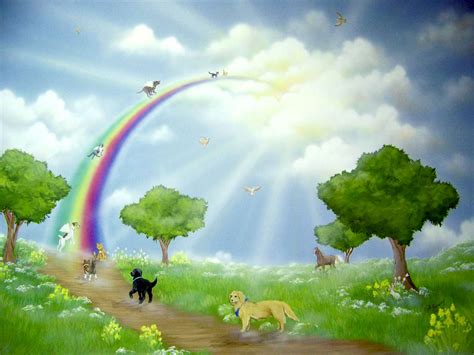 A Poem Of The Rainbow Bridge Will Help You In Your Time Of Grief