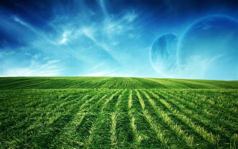 Green Field Screen Wallpaper Hd Wallpapers Download Free