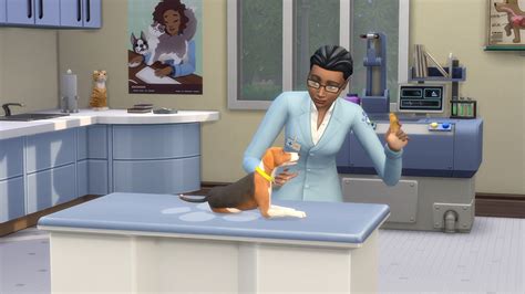 Blog About Running A Vet Clinic In The Sims 4 Cats And Dogs Download Sims 4