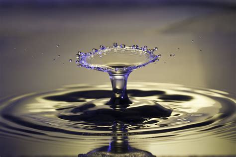 A Retrospective Water Droplet Photography 2013 Suckstobeyou