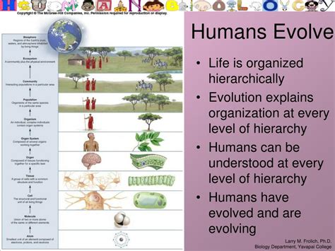 Ppt Cells—the Fundamental Unit Of Life Powerpoint Presentation Free