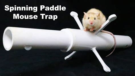 Rats are one constant threat to any home! The Spinning Paddle Mouse Trap Catches A Bucket Full Of ...