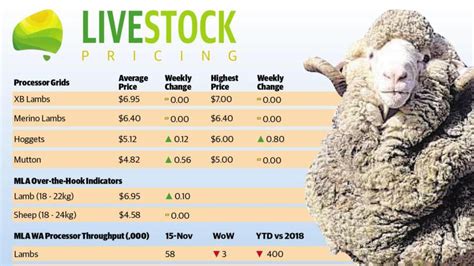 Sheep Prices Steady As Demand Rises Countryman