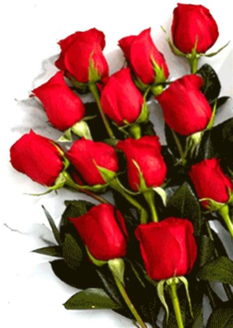 Premium joyful bouquet with stargazer lilies and blue iris. 12 Red Roses in a Bouquet | Sunlight Flower Shop