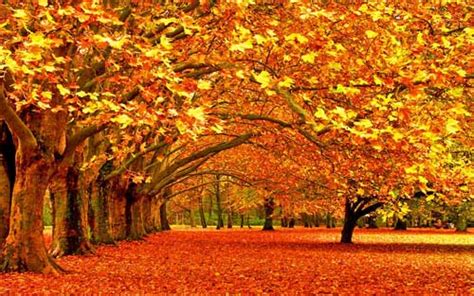 Autumn Desktop Wallpaper 21 Scenic Pictures Of Fall