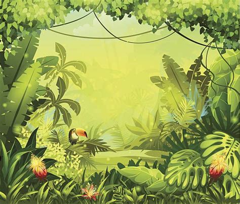 18842 Tropical Rainforest Stock Illustrations Clip Art Cartoons
