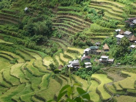Batad Rice Terrace In Banaue Ifugao Philippines Stock Photo Image
