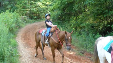 Cc Acres Horseback Riding Adventures Tennessee River Valley