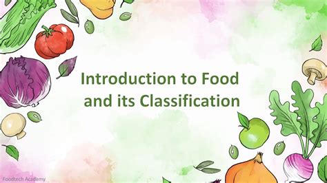 Food And Classification Of Foods Food Classification On The Basis Of
