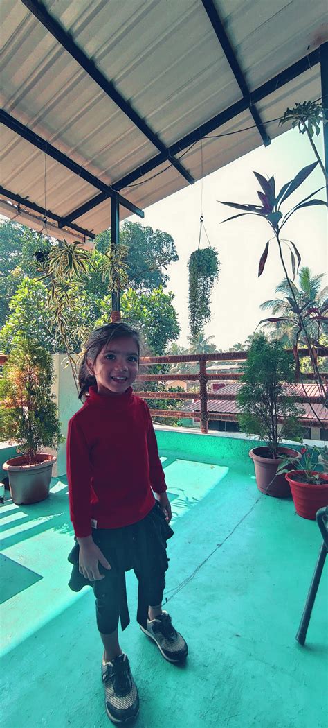 The Backyard - Hotel Nagaon | Best Hotels in alibag, Beach resort in