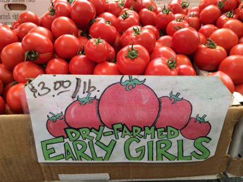 Early Girl Tomato Time Bay Laurel Culinary